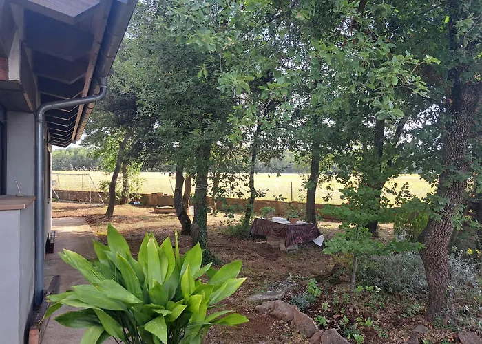 La Casa Del Pi
